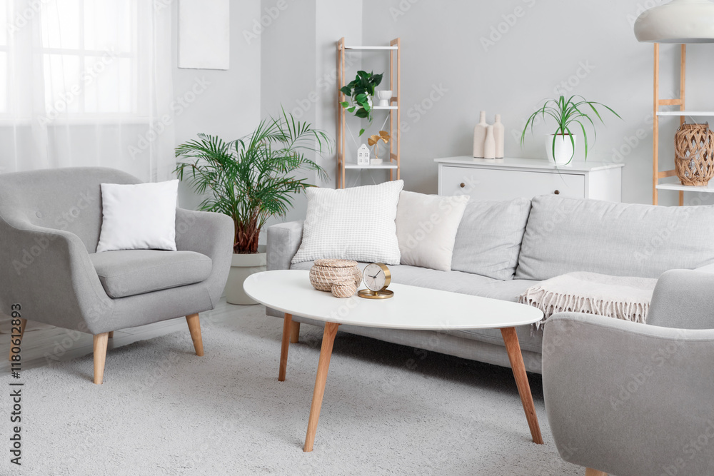 Fototapeta premium Interior of stylish living room with cozy grey armchairs, sofa and coffee table
