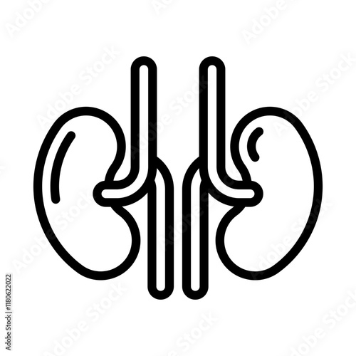 kidneys