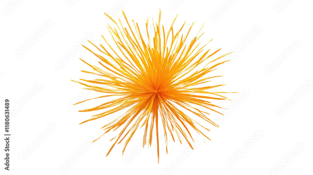 Obraz premium Fireworks transparent background