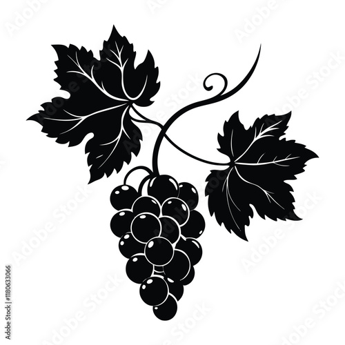 silhouette of grapes vine