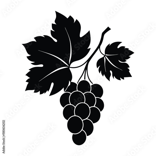 black silhouette of grapes vine