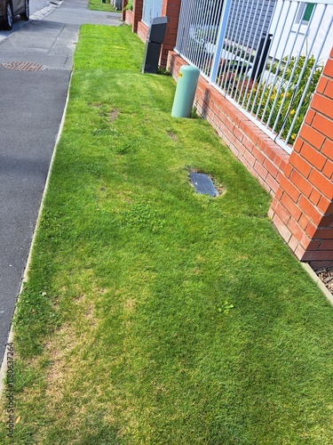 Fotografie A suburban lawn with patchy grass