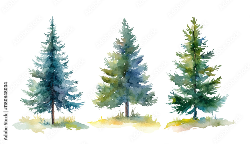 Obraz premium Christmas trees Vector watercolor illustration,Forest, fir trees, pine trees, woods watercolor illustration,festival set,year