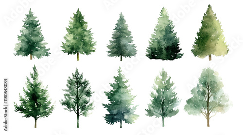 Christmas trees Vector watercolor illustration,Forest, fir trees, pine trees, woods watercolor illustration,festival set,year