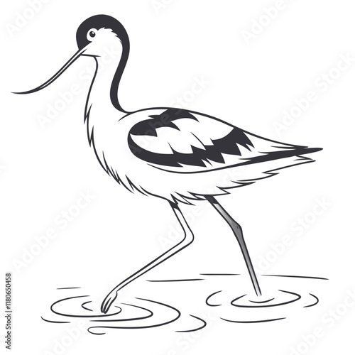 Avocet