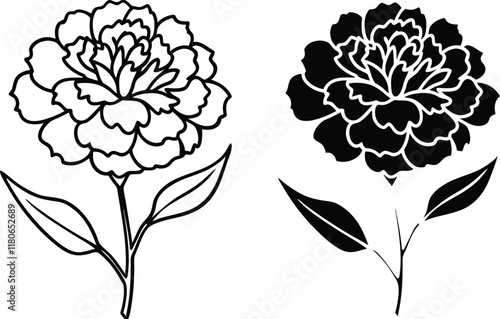 Carnation Flower Line Art Black and White Design Illustrations