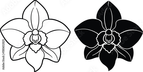 Elegant Orchid Line Art Black and White Floral Designs
