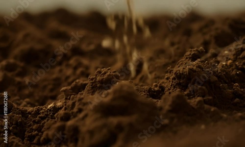 Rich soil texture with organic mulch and decomposed bark in natural garden