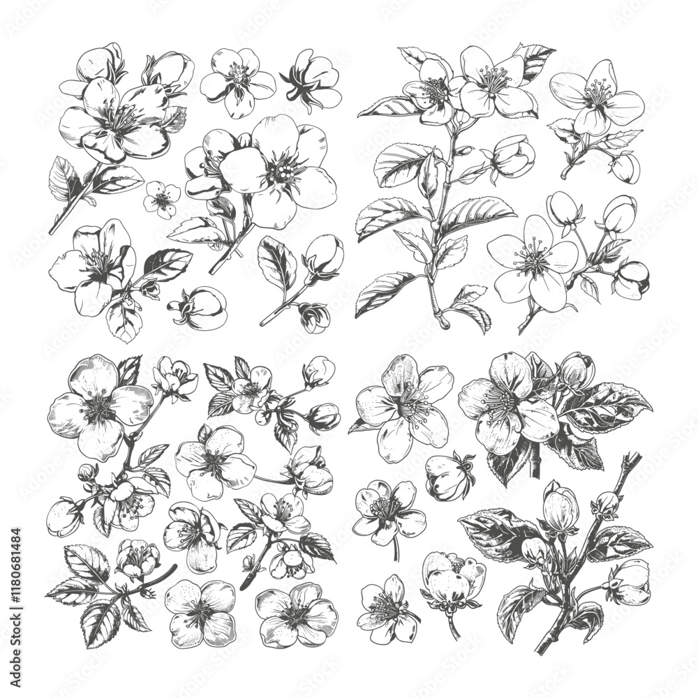 set of apple blossom flowers hand drawn design vector template set of apple blossom flowers hand drawn design vector template