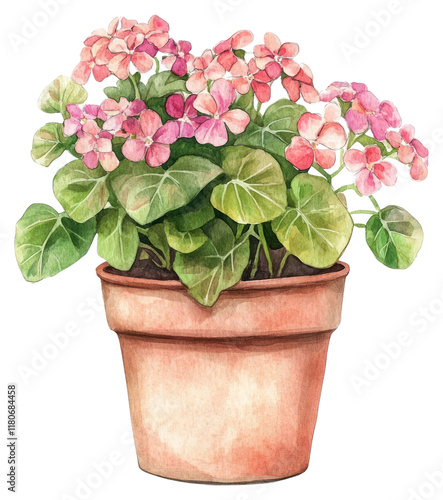 Fototapeta Naklejka Na Ścianę i Meble -  PNG Flower Potted Plant flowers plant pot.