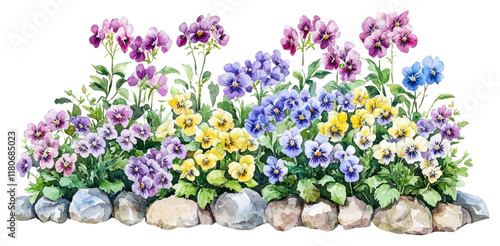 Fototapeta Naklejka Na Ścianę i Meble -  PNG Flower Beds flowers illustration watercolor.