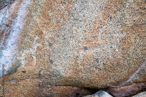 Ancient petroglyphs depicting deers on granite boulders on the bank of river Bolshoy Ilgumen. photo