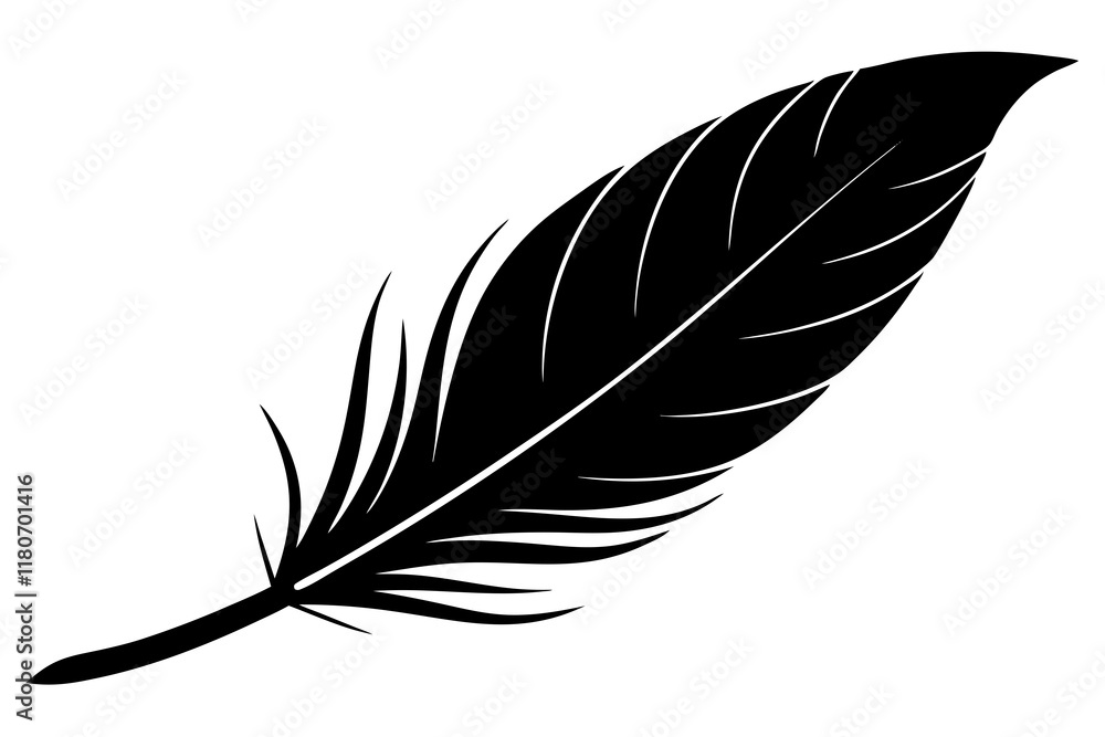 Obraz premium Feather isolated vector silhouette