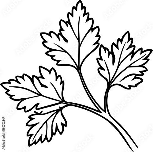 parsley outline coloring book page line art vector illustration