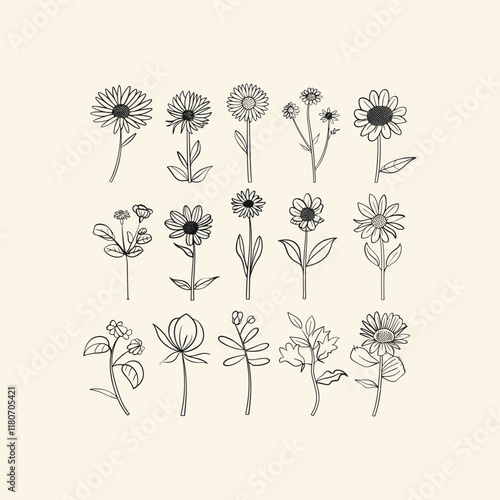 Set of modern aster flowers design vector template