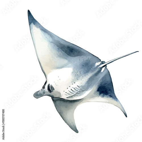 A watercolor of a manta ray gliding gracefully, isolated on a white background. Manta ray vector.
