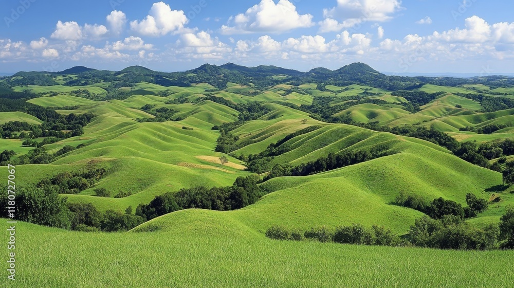 Rolling Green Hills Under a Summer Sky: A Breathtaking Landscape Rolling Green Hills Under a Summer Sky: A Breathtaking Landscape