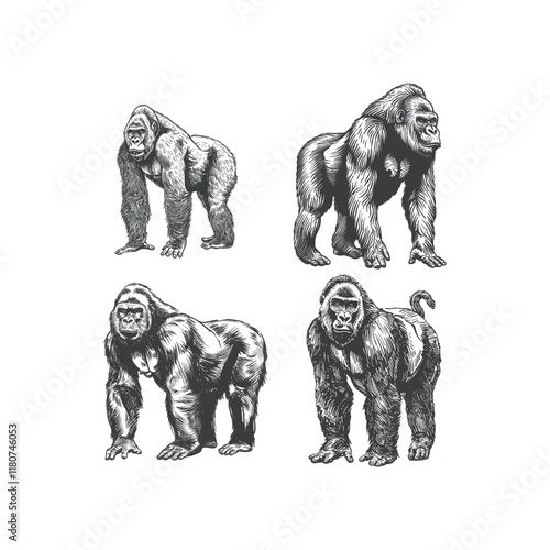 Gorilla hand drawn engraving design vector template illustration