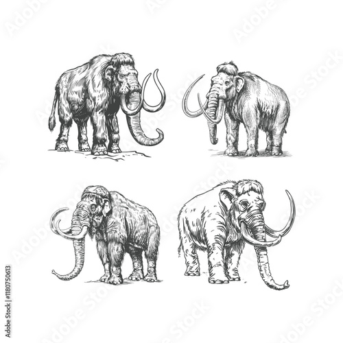 Mammoth hand drawn engraving design vector template illustration