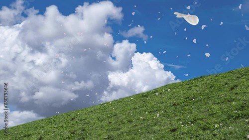 Wallpaper Mural 春ひらひらとたくさんの花弁が舞い落ちる丘と草原　空の風景　青空と雲の背景　自然・お祝い・希望・結婚式・ウエディング・アウトドア春・出発・入学・入社のイメージ Torontodigital.ca