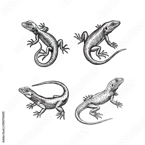 Lizard hand draw engraving design vector template illustration