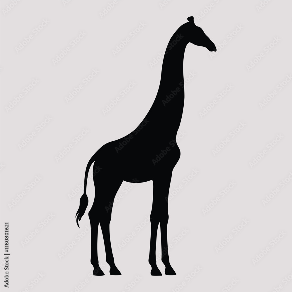 Fototapeta premium giraffe vector