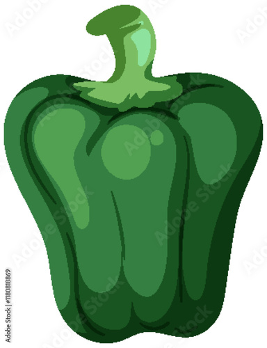 Green Bell Pepper Vector Illustration