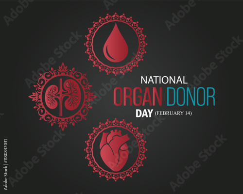 Vector illustration on the theme of National Organ Donor day observed each year on February 14th. National donor day. background, banner, card, poster, template.