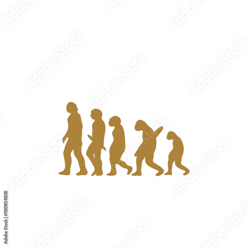 Human Evolution Illustration