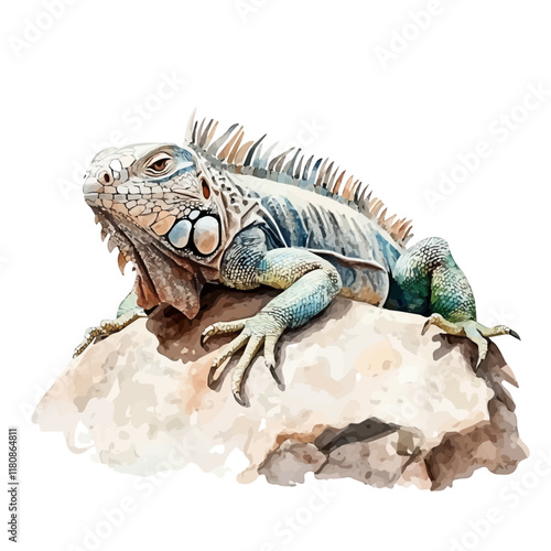 A watercolor of an iguana resting on a rock, isolated on a white background. Iguana resting vector.
