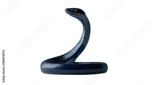 Majestic Blue Snake in a Striking Upright Position Showcasing Its Sleek Scaliness and Intriguing Prowess, Capturing the Essence of Nature’s Serpentine Beauty photo