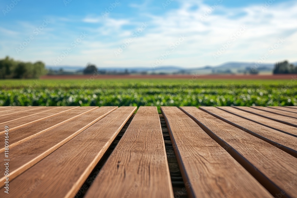 Wooden deck overlooking rural farmland, sunny day Wooden deck overlooking rural farmland, sunny day