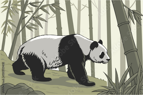 Giant panda, realistic, detailed fur, black and white coloration, side view, standing pose, wildlife photography, nature, Chinese fauna, endangered species, bamboo forest background, high resolution, 