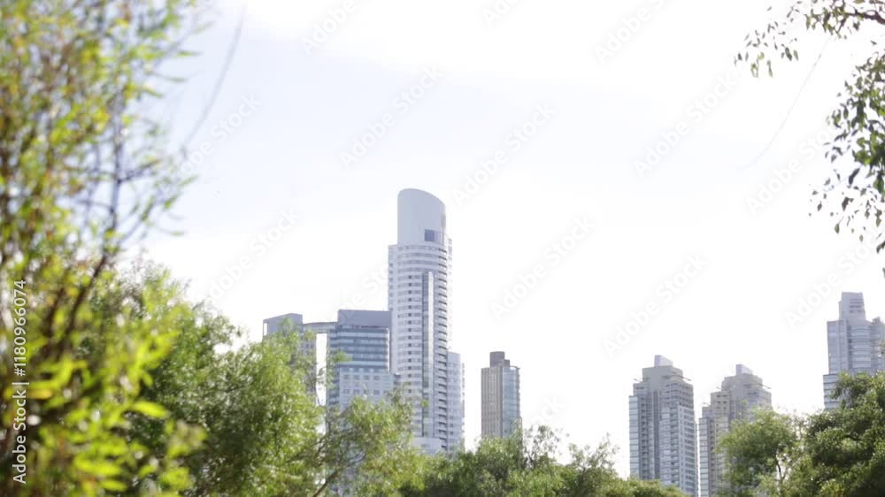 EDIFICIOS ENTRE UN BOSQUE EDIFICIOS ENTRE UN BOSQUE