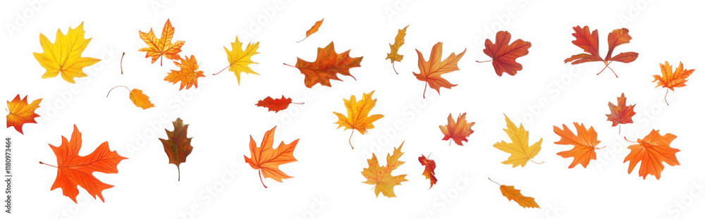 collection of various autumn leaves in shades of yellow. orange. and brown. scattered across a white background. evoking the essence of fall and nature's transformation collection of various autumn leaves in shades of yellow. orange. and brown. scattered across a white background. evoking the essence of fall and nature's transformation