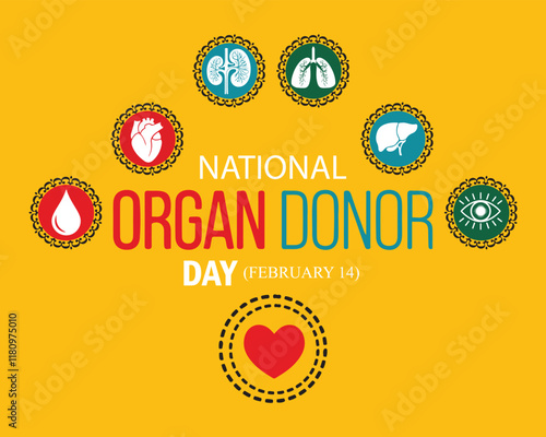 Vector illustration on the theme of National Organ Donor day observed each year on February 14th. National donor day. background, banner, card, poster, template.
