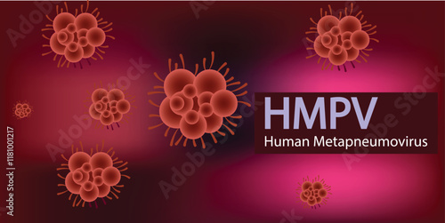 HMPV virus banner, Human Metapneumovirus respiratory virus vector	