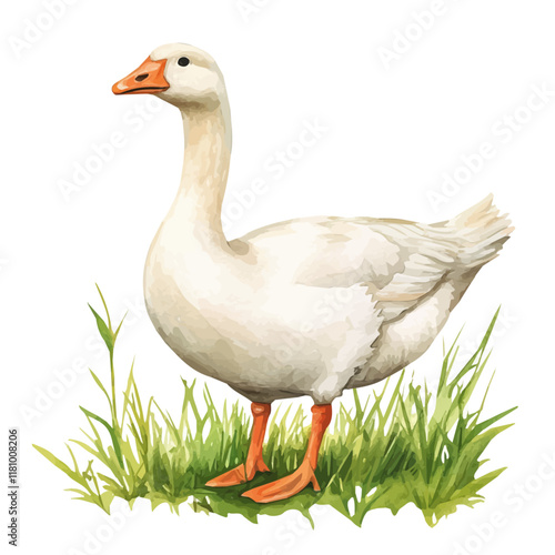 A watercolor painting of a goose nibbling grass, isolated on a white background. Goose vector.
