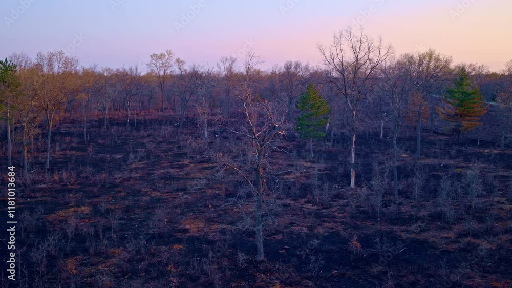 Wide drone views capturing the remains of a forest fire. Wide drone views capturing the remains of a forest fire.
