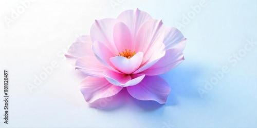 Abstract image of a flower in soft pastel colors, flowing, translucent petals with a blend of light pink, blue, and lavender hues, white background, centered composition photo