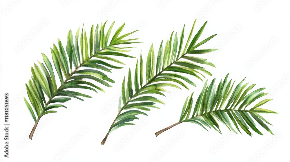 Fototapeta premium Watercolor illustration of tropical green palm leaves isolated