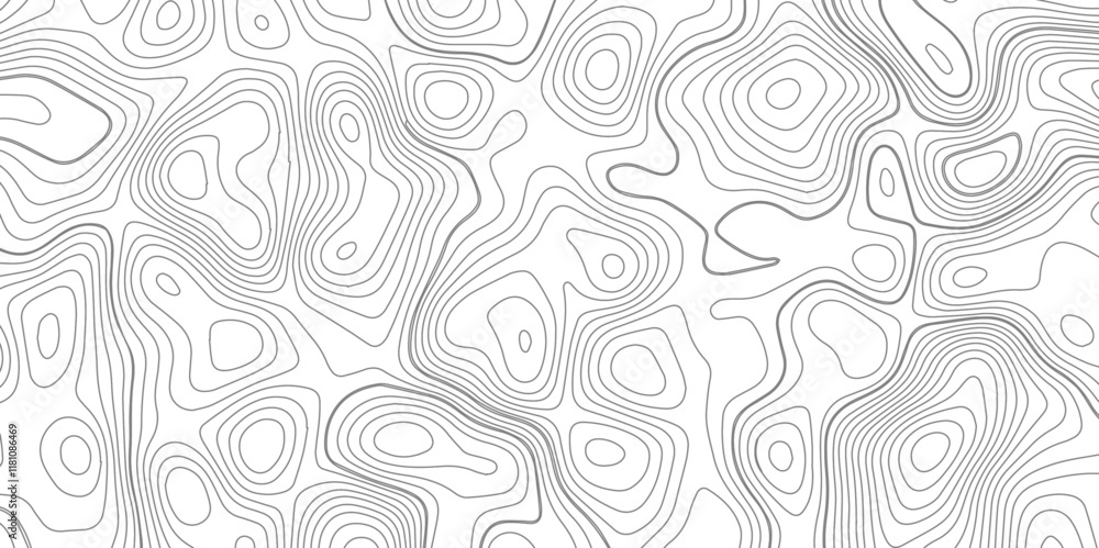 Abstract topography wave lines pattern on white background, topographic contours map background, geographic contour map vector background, White paper curved reliefs for background. Abstract topography wave lines pattern on white background, topographic contours map background, geographic contour map vector background, White paper curved reliefs for background.