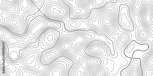 Abstract topography wave lines pattern on white background, topographic contours map background, geographic contour map vector background, White paper curved reliefs for background.