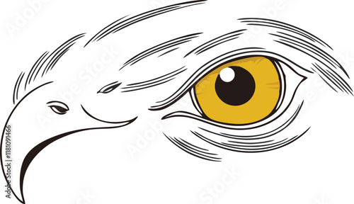 eagle eyes vector illustration design concept white background 