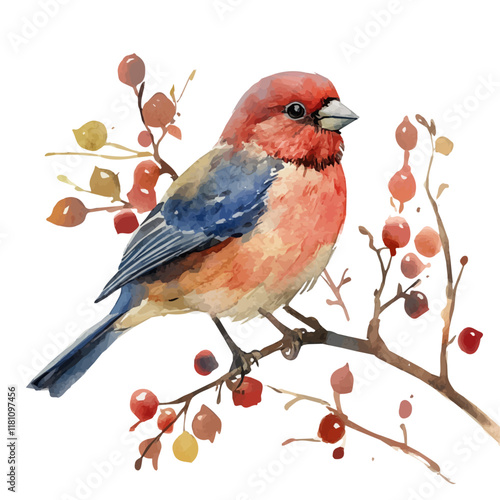 A watercolor vector of a finch fluttering in the hedgerow, isolated on a white background. Finch vector.
