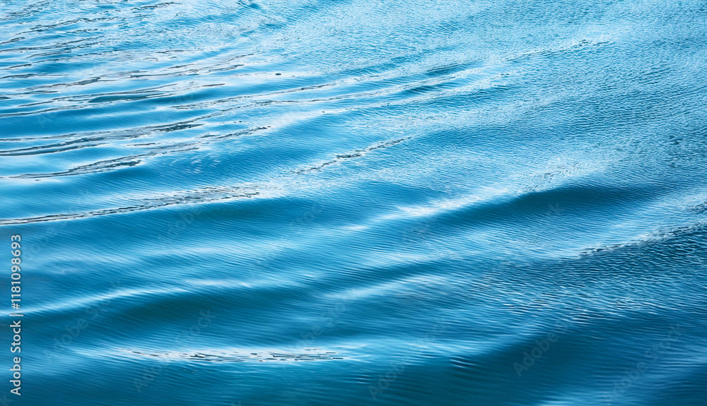 Obraz premium Fondo de mar