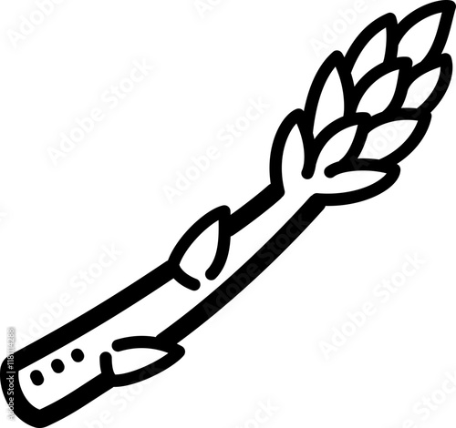 Asparagus doodle vector icon and illustration