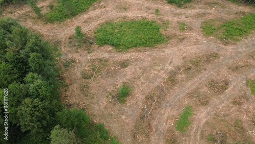 фотографія Deforestation effects captured in aerial view, contrasting green forest and bare