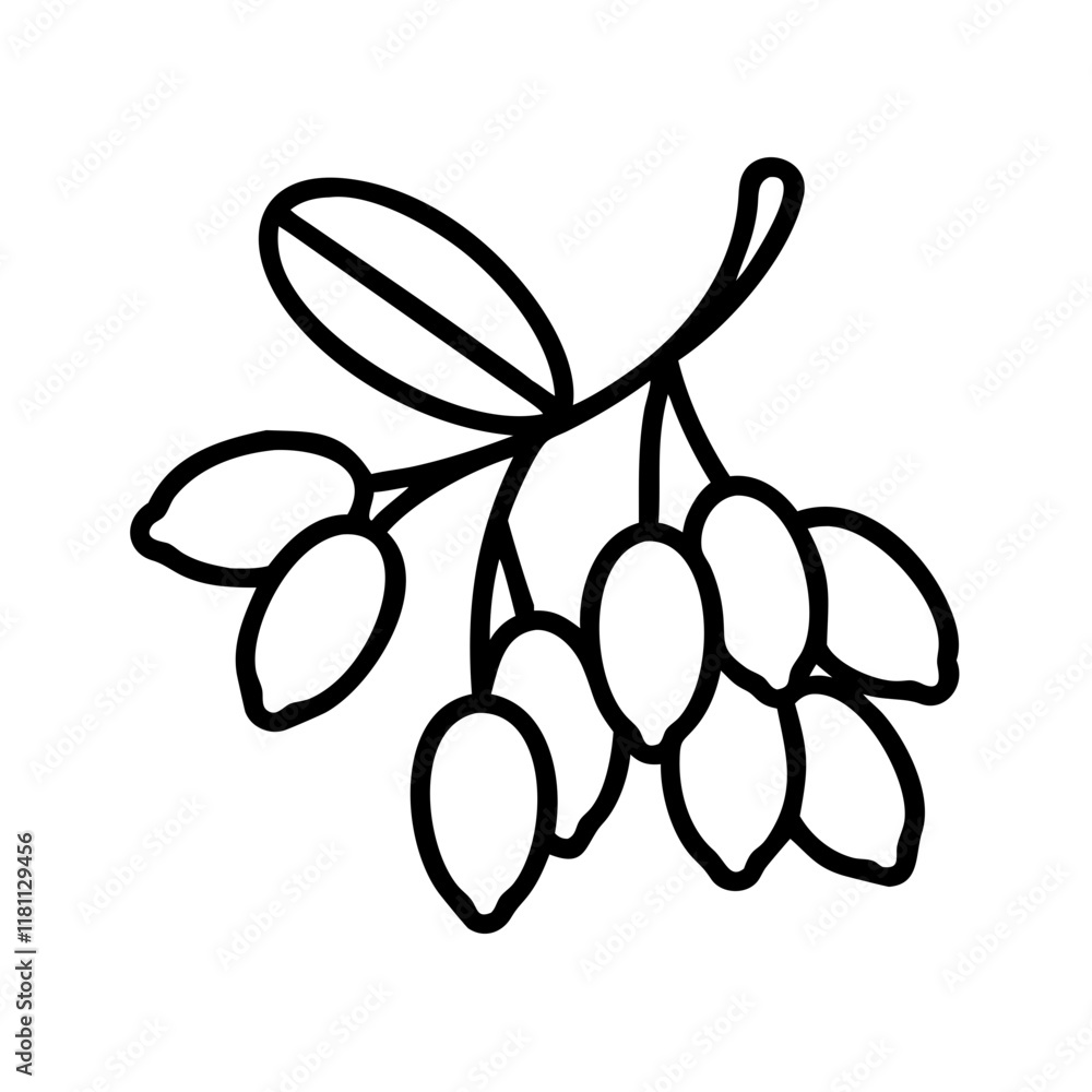 barberry icon, fruits line art, fruits icon - simple black line art icon of barberry perfect for logos, and fruits-themed designs. barberry icon, fruits line art, fruits icon - simple black line art icon of barberry perfect for logos, and fruits-themed designs.