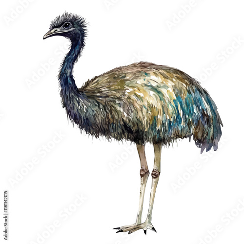 A watercolor of an emu chasing insects, isolated on a white background. Emu vector.
